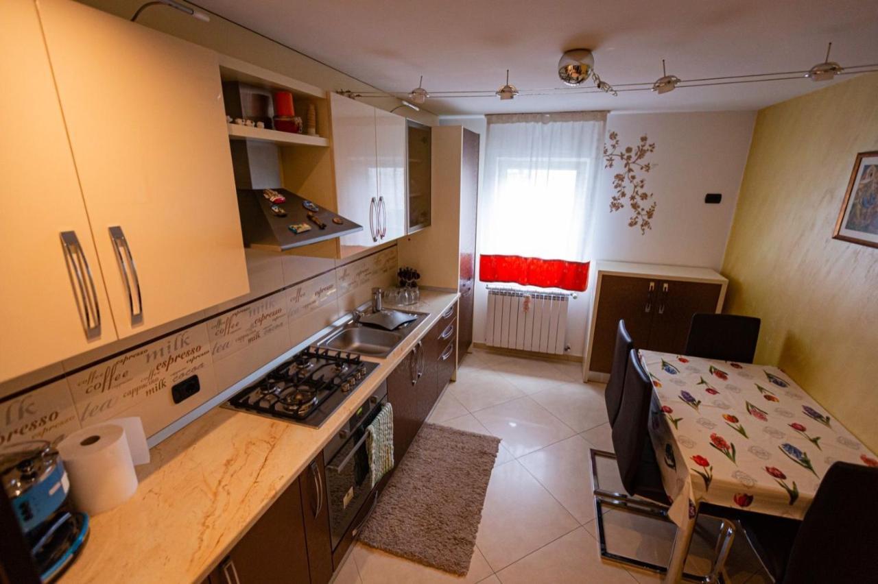 Apartament Danci. Borşa Eksteriør bilde